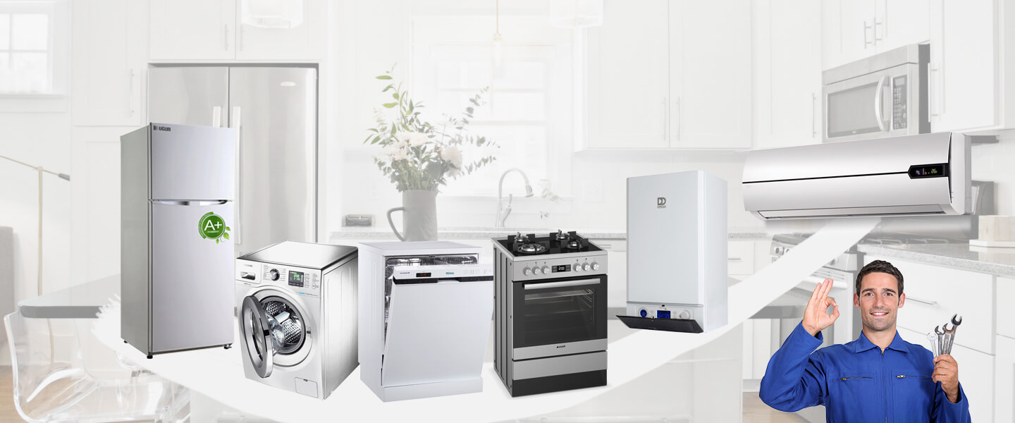 Dicle Electrolux Servisi